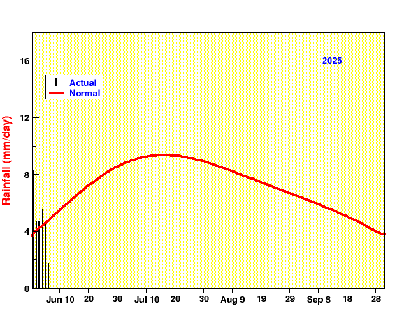 All India Daily Rainfall